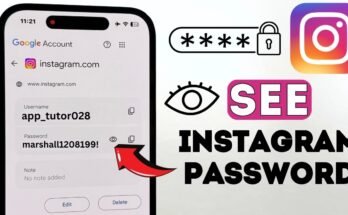 How to Recover Instagram Password Safely